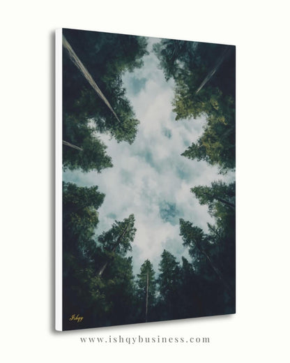 Forest Wall Art, Looking Up Trees Print, Redwood Canopy Canvas, Moody Nature Landscape, Pine Tree Sky View, Large Wall Decor Gift, Cabin Art