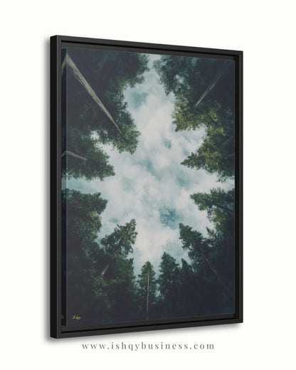 Forest Wall Art, Looking Up Trees Print, Redwood Canopy Canvas, Moody Nature Landscape, Pine Tree Sky View, Large Wall Decor Gift, Cabin Art