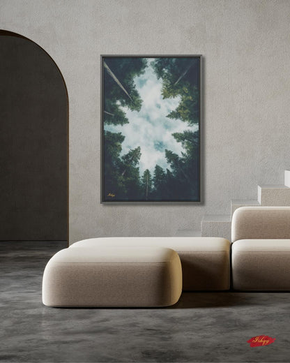 Forest Wall Art, Looking Up Trees Print, Redwood Canopy Canvas, Moody Nature Landscape, Pine Tree Sky View, Large Wall Decor Gift, Cabin Art