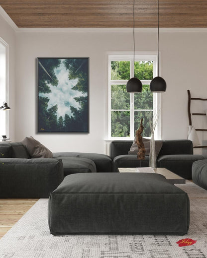 Forest Wall Art, Looking Up Trees Print, Redwood Canopy Canvas, Moody Nature Landscape, Pine Tree Sky View, Large Wall Decor Gift, Cabin Art