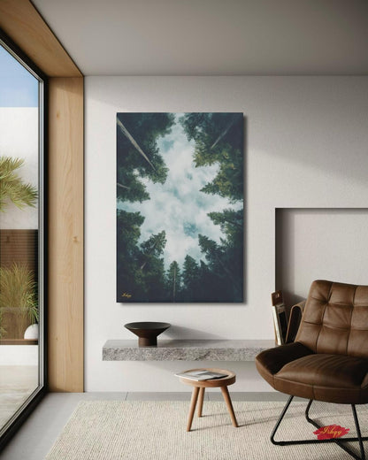 Forest Wall Art, Looking Up Trees Print, Redwood Canopy Canvas, Moody Nature Landscape, Pine Tree Sky View, Large Wall Decor Gift, Cabin Art